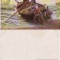 Olanda-Tipuri,meserii-Pescari