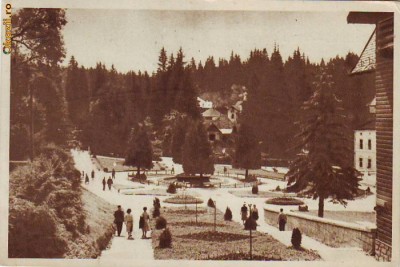 R 6639 Rep Pop Romana Borsec Vedere din parc Circulata foto