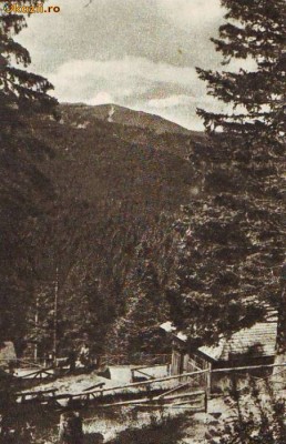 R 6739 Rep Pop Romana Paltinis Vedere Necirculata foto
