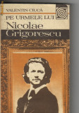 Valentin Ciuca - Pe urmele lui Nicolae Grigorescu