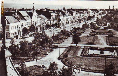 S 2644 Reghin Circulata foto