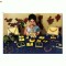 P FOTO 31 Tanara - Gems of Ceylon -necirculata -interesanta