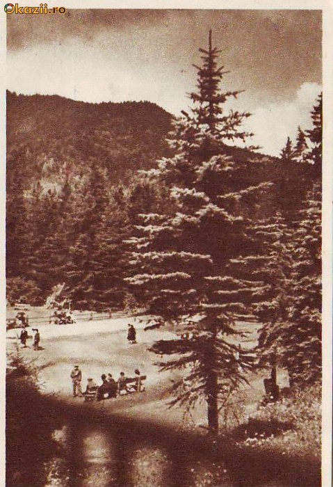 R 6494 Tusnad Vedere din parc Necirculata R 6494 Tusnad Vedere din parc Necirculata