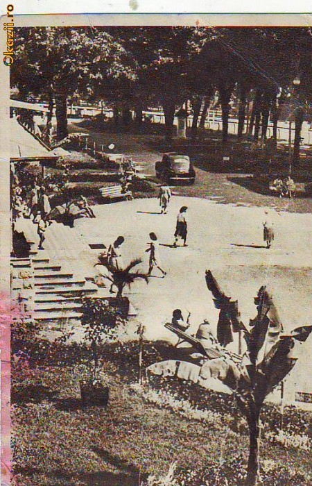 R 6540 Calimanesti Parcul Circulata R 6540 Calimanesti Parcul Circulata