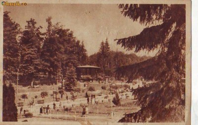 R 6563 Sovata Vedere din parc Circulata foto
