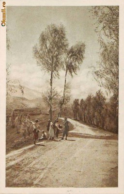 R 6594 Spre Bucegi Necirculata foto