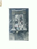 P FOTO 59 Felicitare: La multi ani -necirculata -antebelica