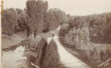 P1169 Craiova Parcul Bibescu necirculat 1930