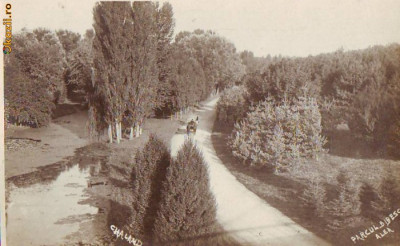 P1169 Craiova Parcul Bibescu necirculat 1930 foto