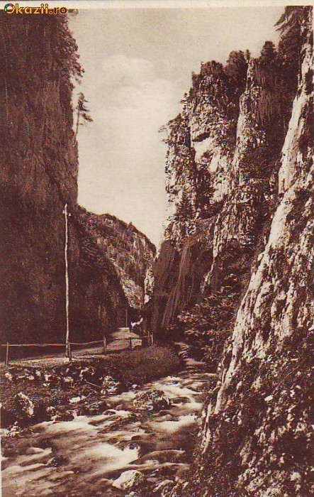 C1061 Cheile Dambovicioara necirculata C1061 Cheile Dambovicioara necirculata