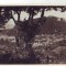 P5 Brasov Vedere Generala circulata 1944 cenzurat Brasov