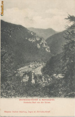 CFL ilustrata Herculane 1902 Banat, ROMANIA vedere generala foto