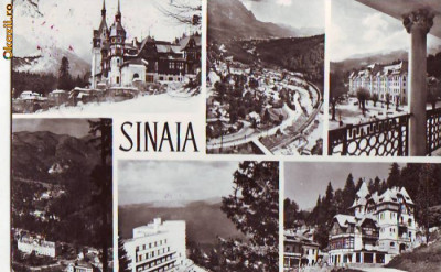 R 5288 Sinaia Vederi Circulata foto