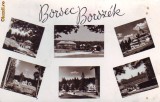 R 4356 Borsec Circulata