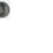 25 CENTS S.U.A. NEW HAMSHIRE 2000 ( P )