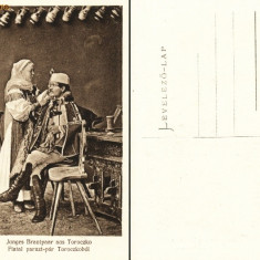 carte postala ilustrata tanar mire sas, 1917