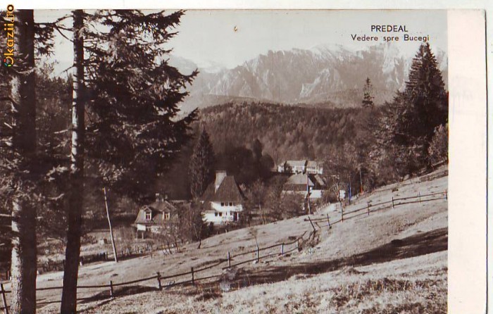 R 5011 Predeal Vedere spre Bucegi Circulata R 5011 Predeal Vedere spre Bucegi Circulata