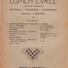 6 reviste LUMEA EVREE (an I,1919,dir.I.Brucar)