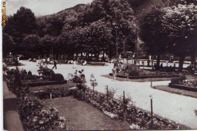 R 6169 Calimanesti Vedere din parc Circulata foto