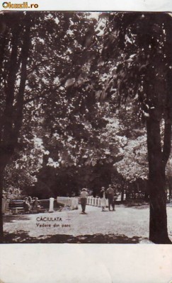 R 6166 Caciulata Vedere din parc Circulata foto