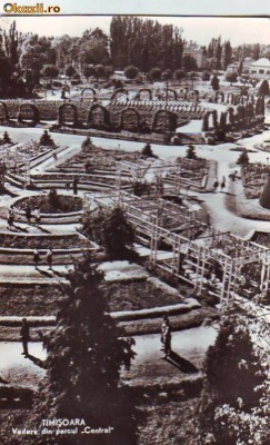 R 5805 Timisoara Vedere din Parcul Central Necirculata foto