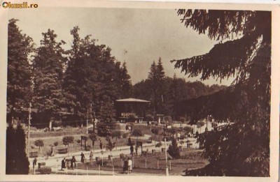 R 5614 Sovata Vedere din parc Necirculata foto