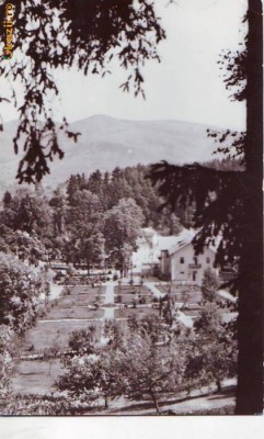 R 5491 Sangeorz Bai Vedere din parc Circulata foto
