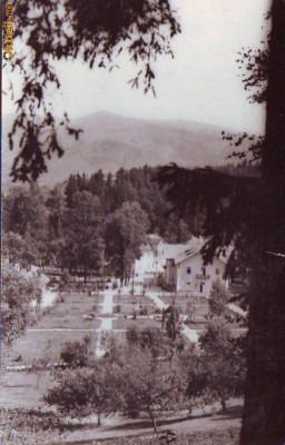 R 5492 Sangeorz Bai Vedere din parc Circulata foto