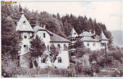 R 5478 Vile in Sangeorz Bai Vedere Circulata foto