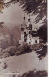 R 5358 Sinaia Muzeul Peles Circulata