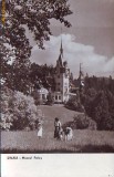 R 5356 Sinaia Muzeul Peles Circulata