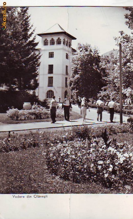 R 4729 Vedere din Olanesti Circulata