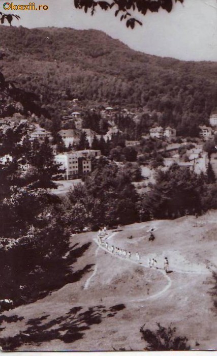 R 4726 Vedere din Olanesti Circulata