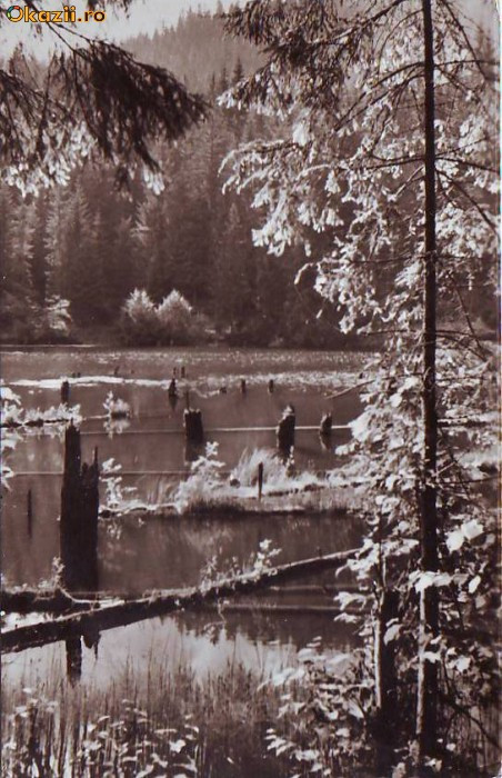 R 4289 Vedere din statiunea Lacul Rosu Circulata