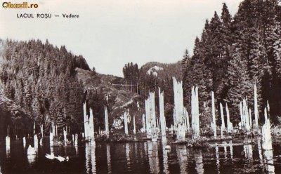 R 4273 Lacul Rosu Vedere Necirculata foto
