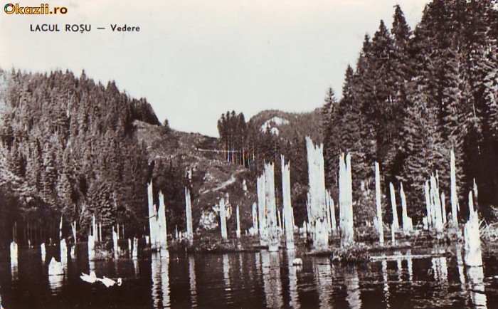 R 4273 Lacul Rosu Vedere Necirculata R 4273 Lacul Rosu Vedere Necirculata