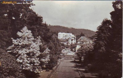 R 4163 Govora Vedere din parc Circulata foto