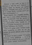 Patrick Braun - Comorile incasilor, 1987