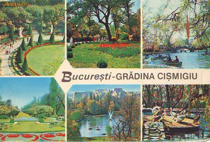 S 5217 Vedere Bucuresti Gradina Cismigiu circulata S 5217 Vedere Bucuresti Gradina Cismigiu circulata