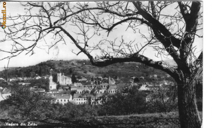 bnk cp zalau - circulata 1966