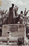 S 4395 T. Mures Monument Farkas si Janos Bolyai necirculata