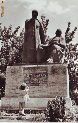 S 4395 T. Mures Monument Farkas si Janos Bolyai necirculata foto