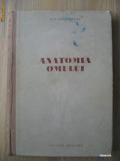 N. V. Kolesnikov - Anatomia omului 1955 foto