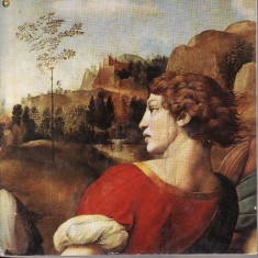 Album pictura-Rafael de Vasile Florea