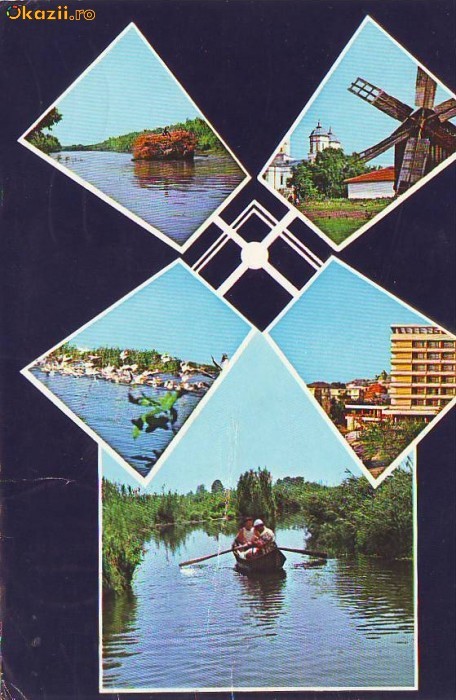 S 4256 Tulcea circulata