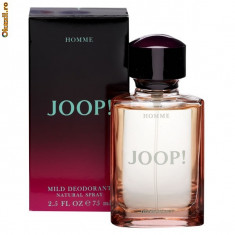 Mild deodorant Joop! Homme 75ml foto