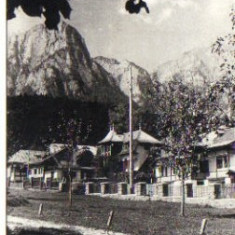 bnk cp poiana tapului - vedere spre bucegi - circulata 1969