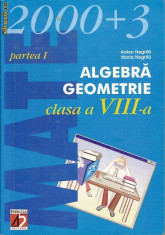 Mate 2000 +3 -Algebra,geometrie - clasa a VIII-a foto