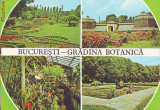S 5816 Bucuresti Gradina Botanica circulata