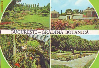 S 5816 Bucuresti Gradina Botanica circulata foto